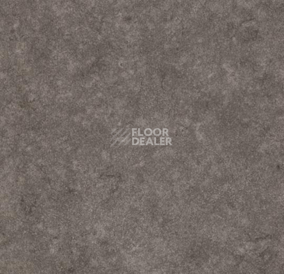 Линолеум Forbo SureStep Material 17162 grey concrete фото 1 | FLOORDEALER